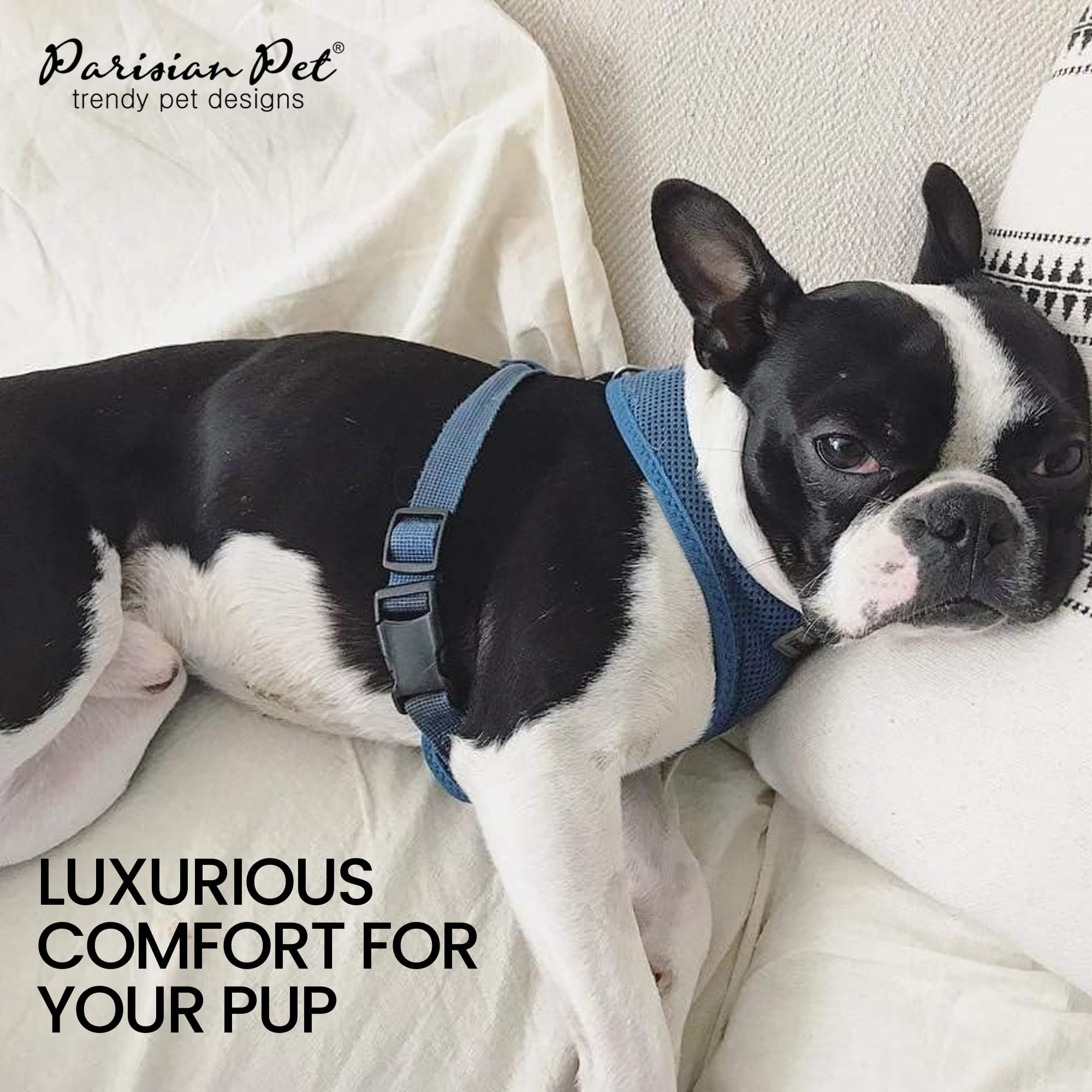 Parisian Pet Adjustable No-Pull Dog Harness - Soft Padded Bright Blue Small Dog Vest for Walking, Running & Hiking - Breathable Cooling Puppy Harness for Outdoor Adventures - Size S