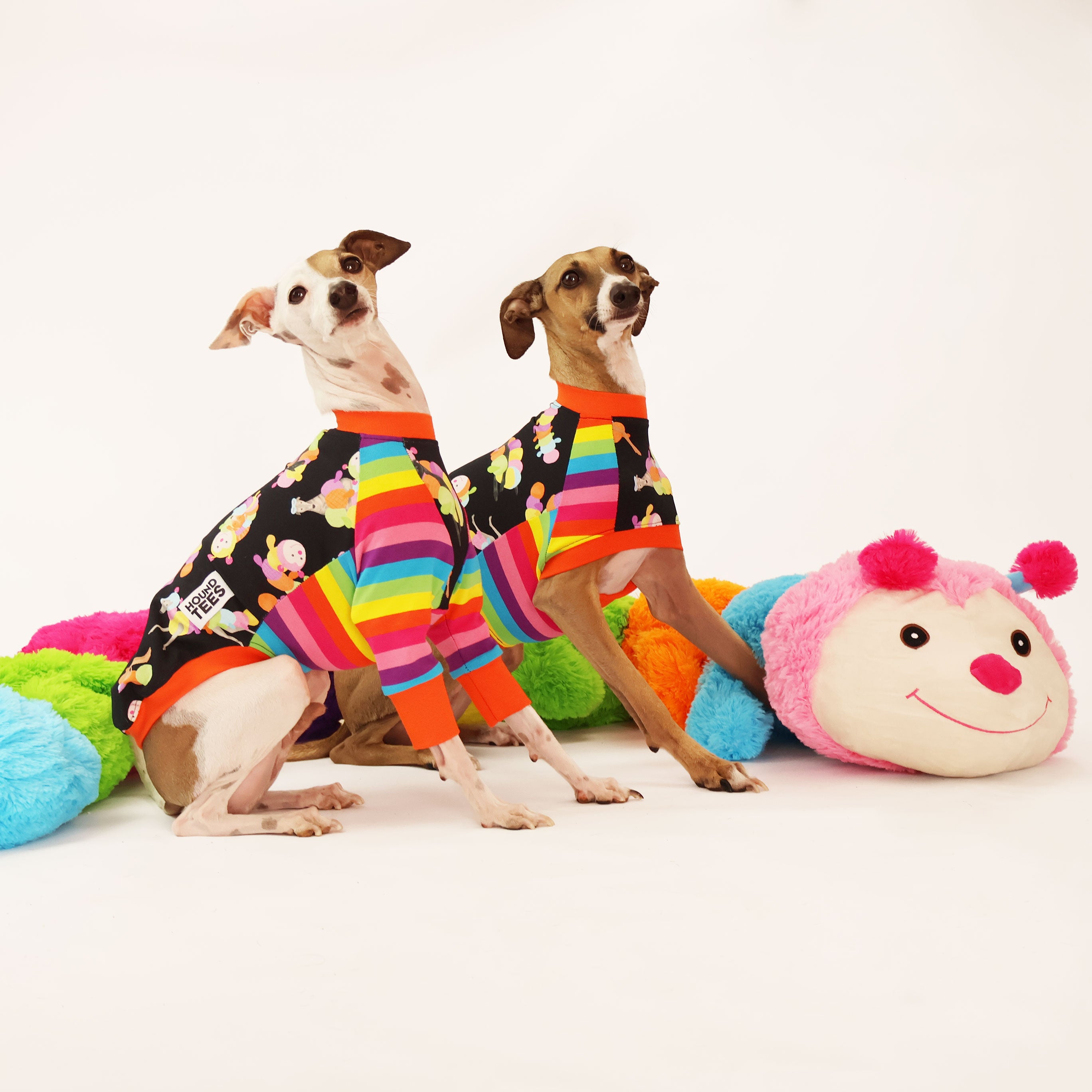 Italian Greyhound Long Sleeve Dog T-Shirt - Cuddlepillar Pet Apparel for Small Dogs - Perfect for Walks, Playdates & Photo Shoots