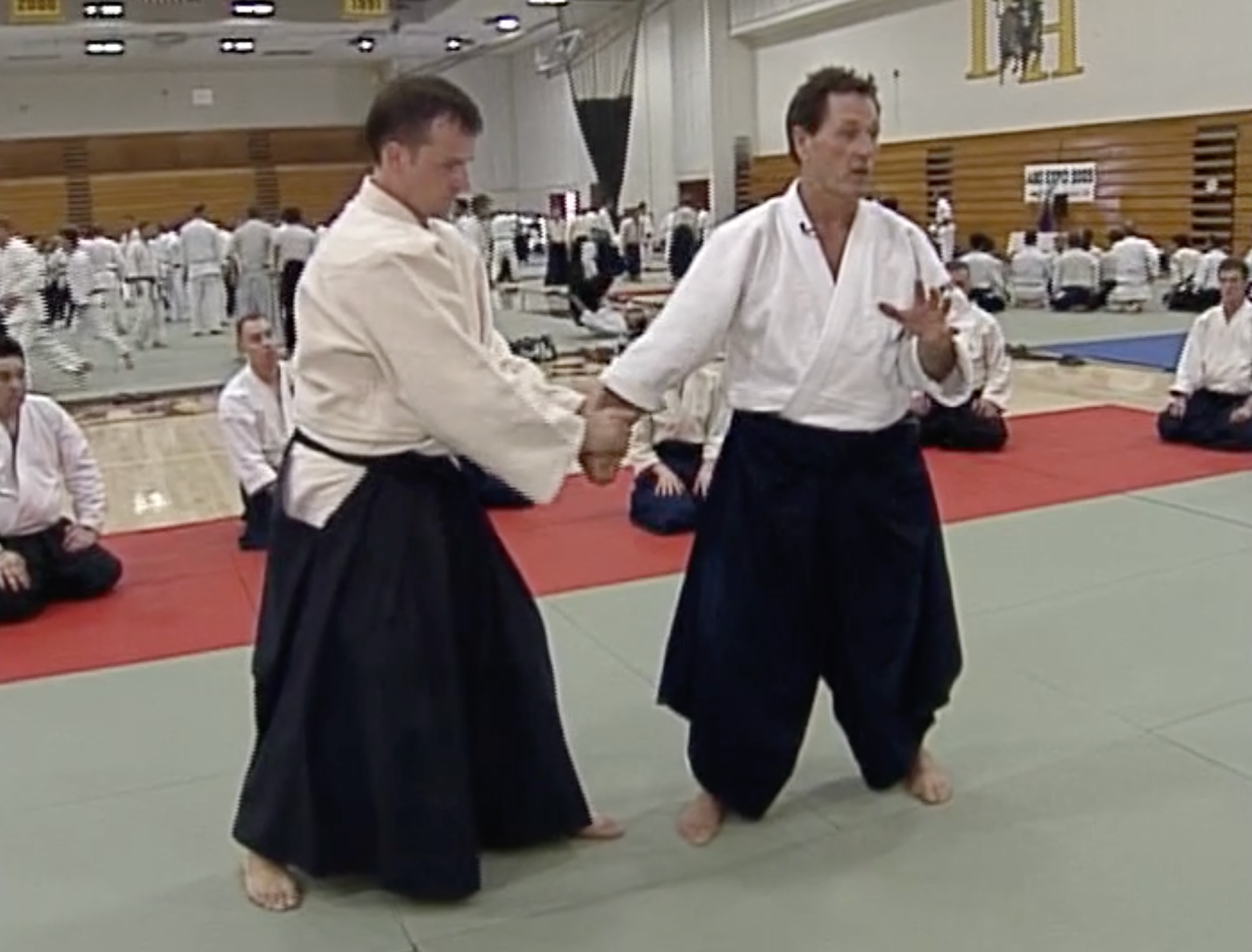Aikido Odyssey DVD by Christian Tissier - Master Aikido Techniques & Training | Perfect for Martial Arts Enthusiasts & Home Practice