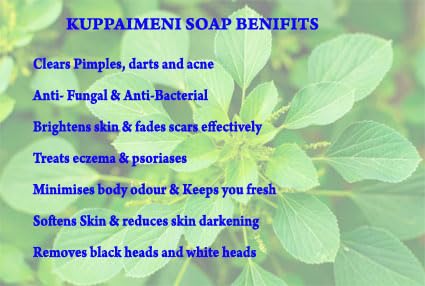 SILKINA KUPPAIMENI Soap - Handcrafted Indian Acalypha Indica Soap for Skin Softness & Health | 3-Pack (100g Each) | Natural Herbal Cleanser for Dry, Sensitive Skin & Daily Skincare Routine