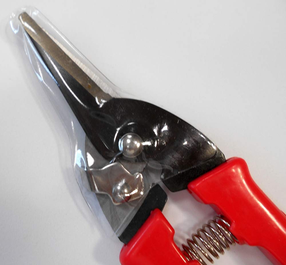 Daiso Premium Gardening Scissors - Sharp Pruning Shears for Plants, Flowers & Herbs | Perfect for Home Garden, Indoor Plants & Bonsai Care