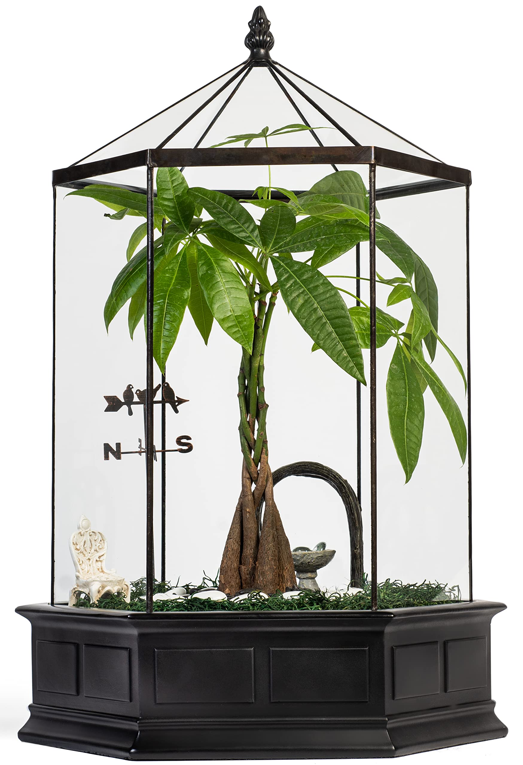 H Potter Large 6-Sided Glass Terrarium Wardian Case - Perfect for Indoor Plants, Succulents & Home Decor
