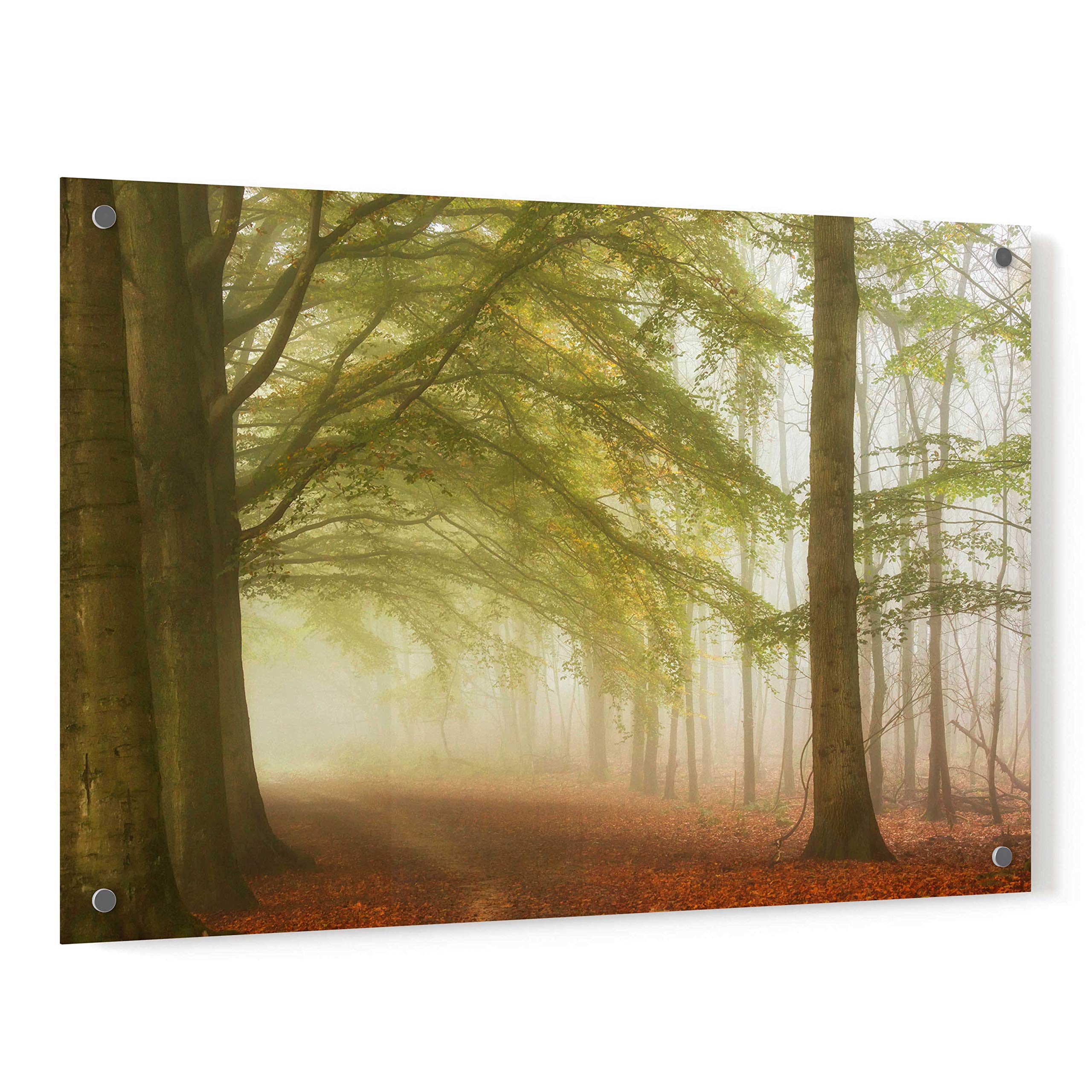 Dreamwalkers by Lars Van de Goor - Stunning 36x24 Inch Acrylic Glass Wall Art - Modern Home & Office Decor - Perfect for Living Room, Bedroom or Gallery Display