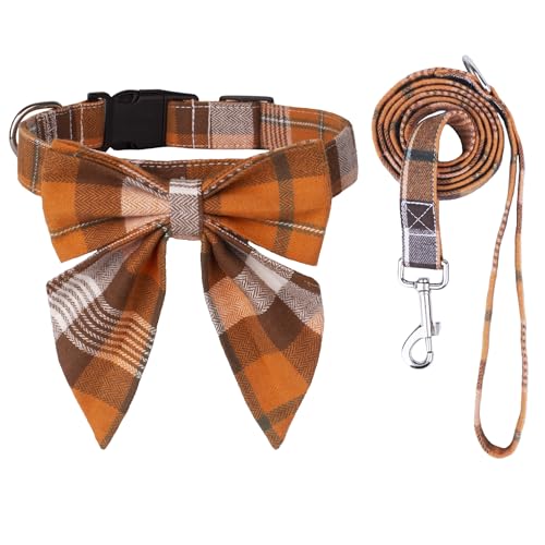 Fall Set