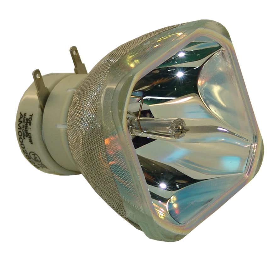 CASIO YL-3B Replacement Projector Lamp Bulb - High Precision TV Projector Light Bulb for Home Theater & Office Presentations