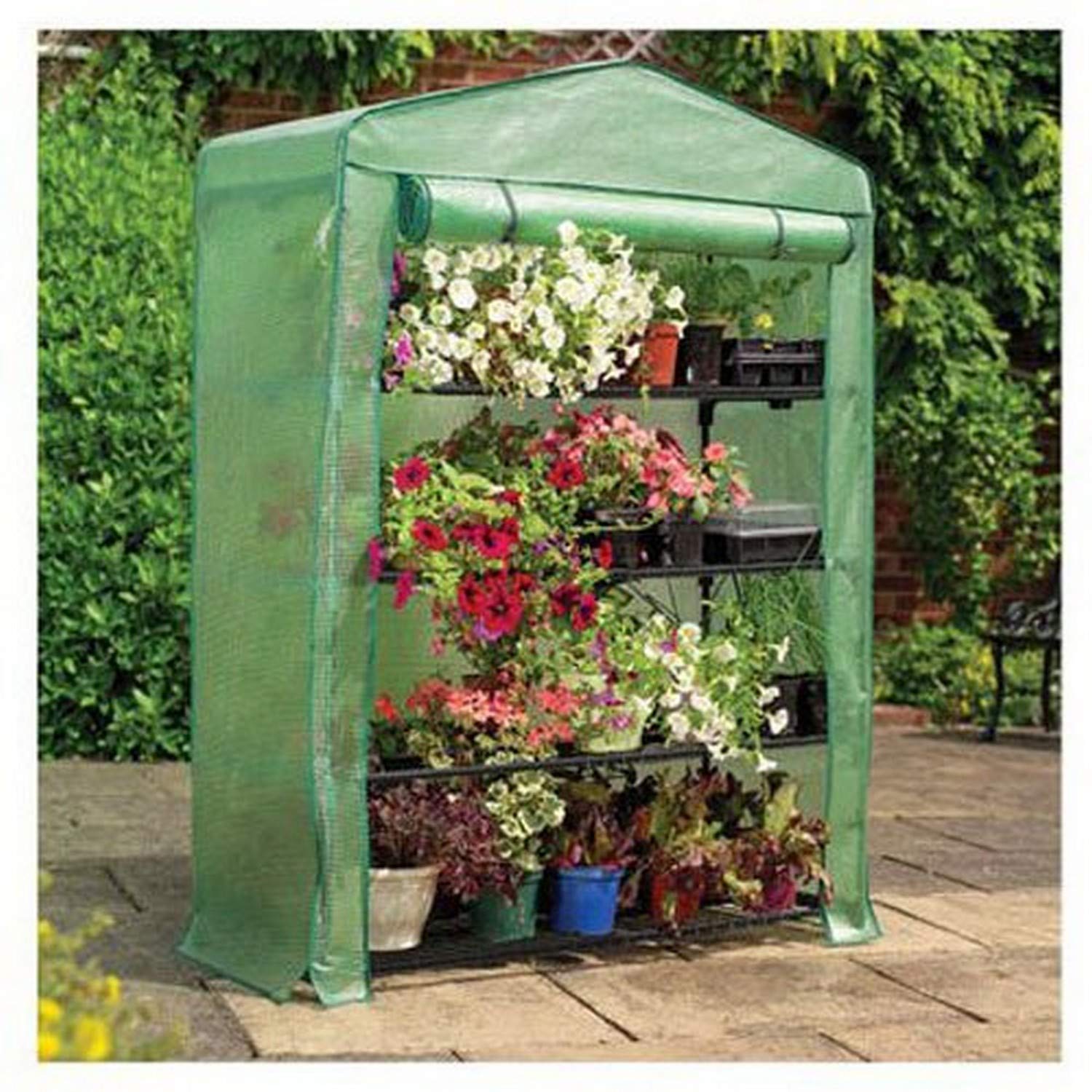 Gardman USA 7600 4-Tier Greenhouse for Indoor/Outdoor Plant Growing - Perfect for Herbs, Flowers & Seedlings in Home Gardens