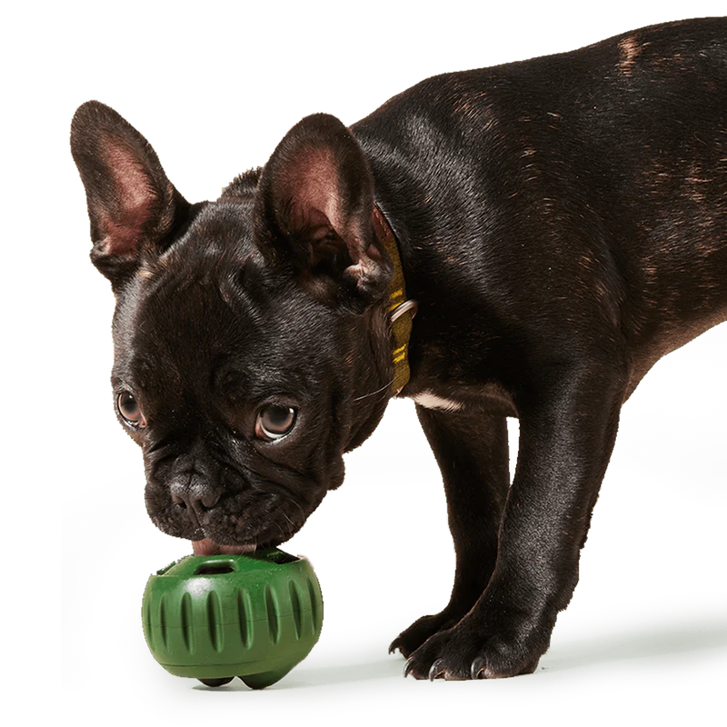 The Pupsicle Dog Toy in Green | Interactive Treat Dispenser for Dogs - Perfect for Playtime, Training & Mental Stimulation