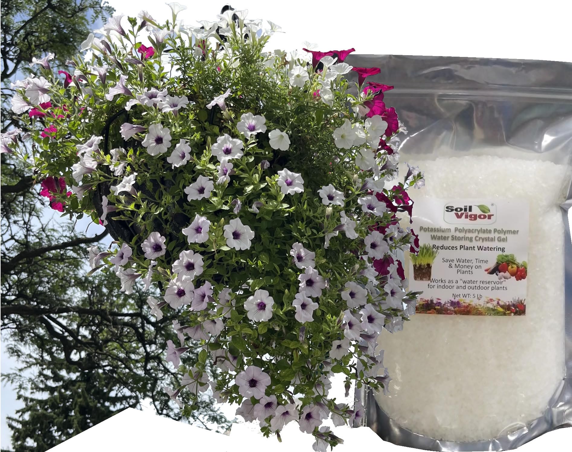 Premium Potassium Polyacrylate Water Absorbing Crystals for Garden Soil - Lasts Up to 7 Years (20 Pack) - Ideal for Drought-Resistant Plants, Flower Beds & Vegetable Gardens