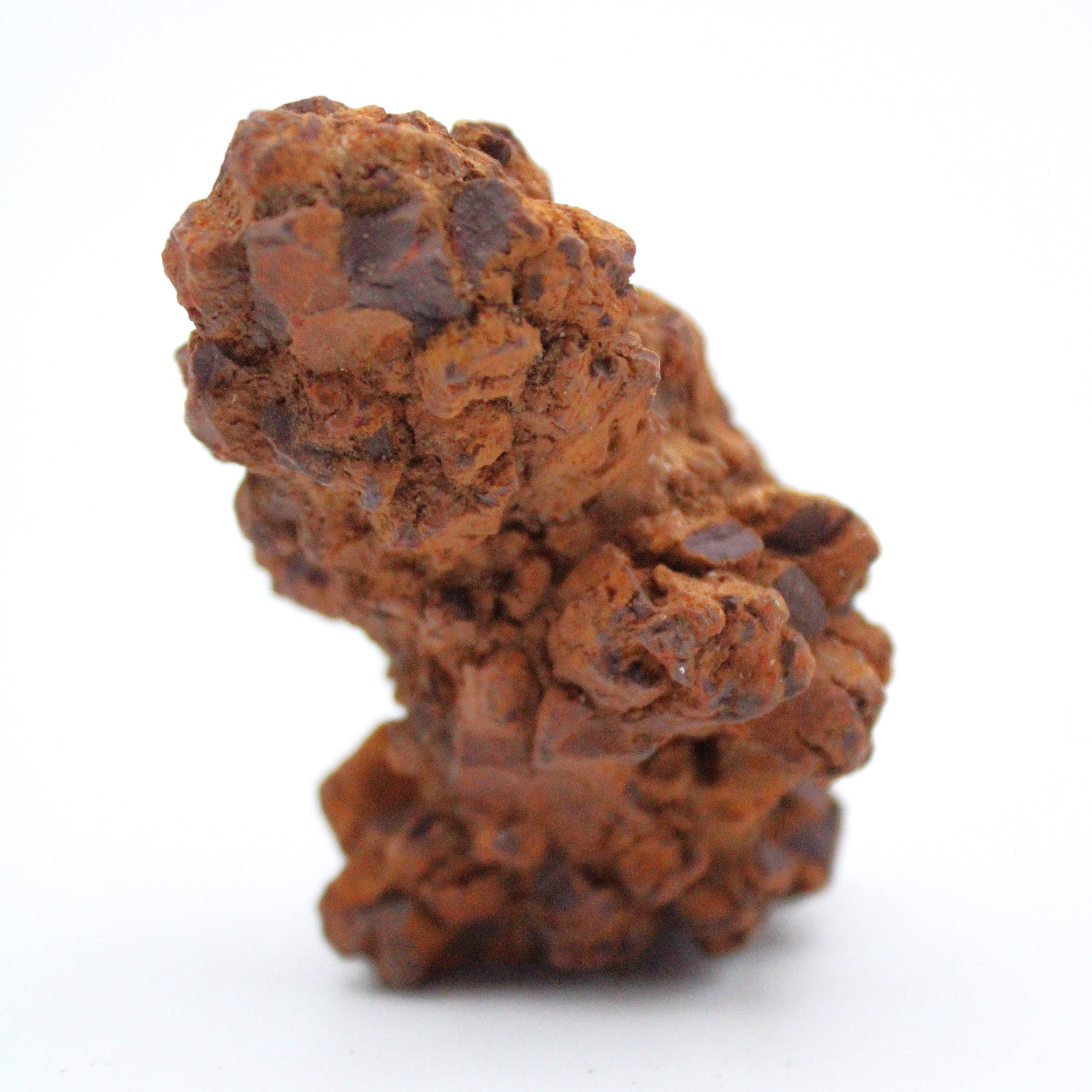 Authentic Coprolite Fossil Specimen - Dinosaur Poop Fossil for Collectors & Science Enthusiasts - Perfect for Educational Displays & Unique Home Decor