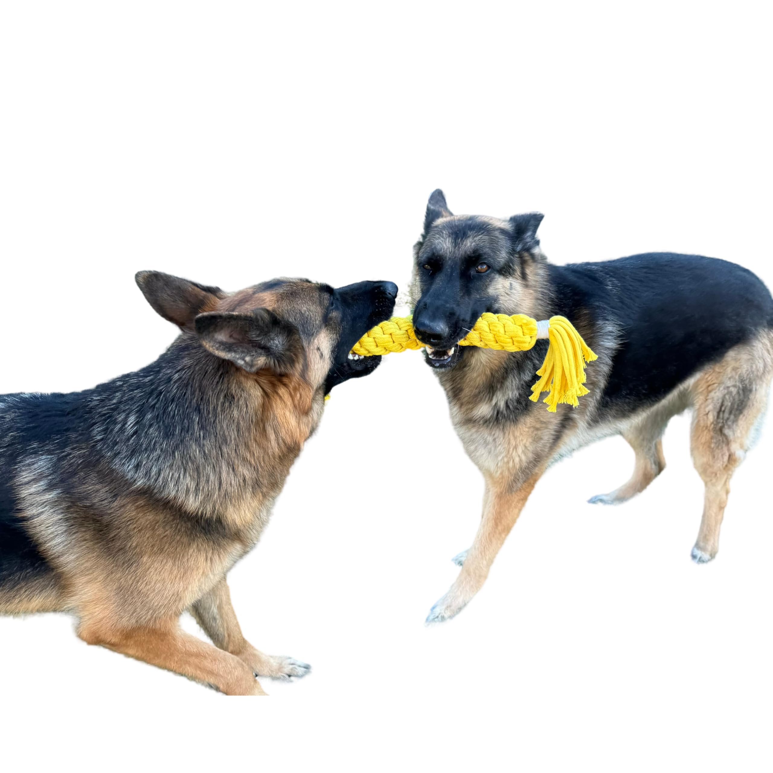 Premium Handmade Macrame Dog Chew Rope Toy for Large Dogs - Durable, Eco-Friendly & Safe Dog Rope Chew - Interactive Play & Training Toy - Perfect Gift for Pet Lovers - Great for Tug-of-War, Fetch & Teeth Cleaning