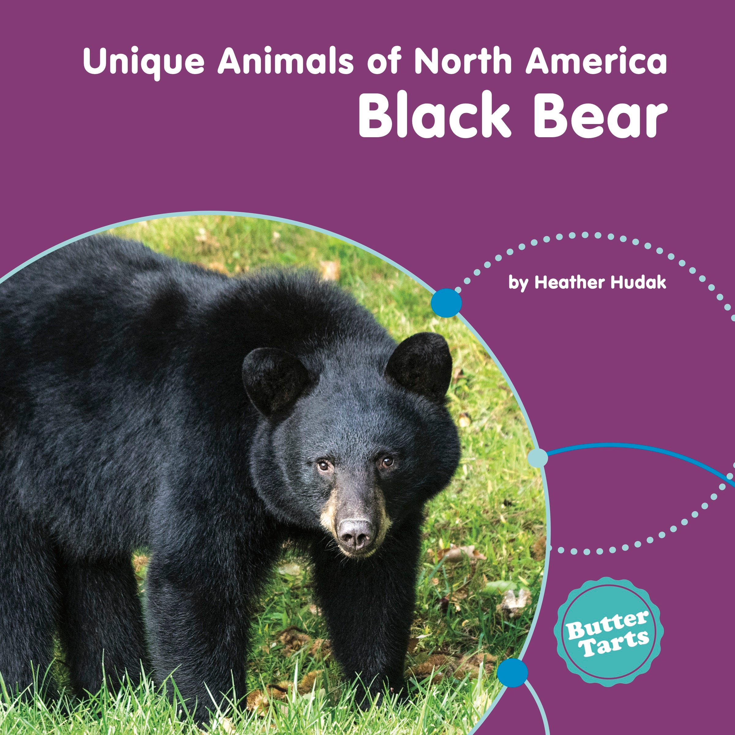 Black Bear Book 9781774564875 - Perfect for Wildlife Enthusiasts & Nature Lovers - Great for Reading, Gifts & Educational Purposes