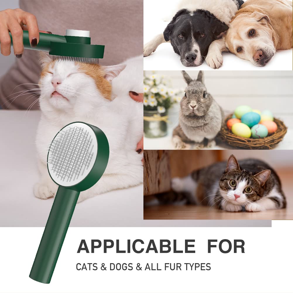Self-Cleaning Deshedding Dog Brush with Release Button - Grooming Brush for Small Pets to Remove Loose Hair, Mats & Tangles - Perfect for Bath Time & Daily Brushing at Home
