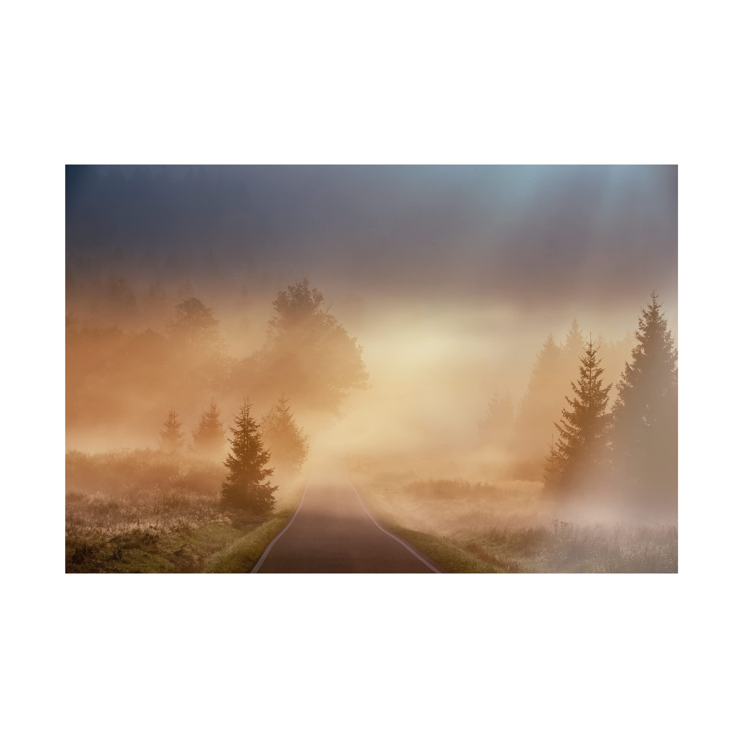 Trademark Fine Art 'Magical Morning' Canvas Wall Art Print by Martin Motl - Nature Landscape Painting for Living Room, Bedroom & Office Decor