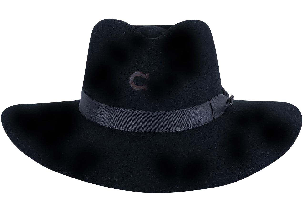 Charlie 1 Horse Highway Hat - Black Western Cowboy Hat for Men & Women | Perfect for Rodeo, Country Music Festivals & Outdoor Adventures