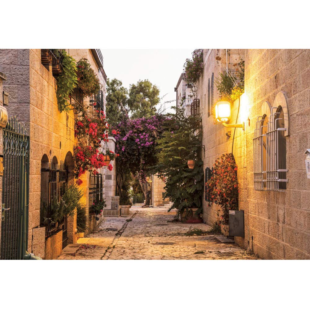 CSFOTO 7x5ft Jerusalem Old Narrow Street Photography Backdrop - Perfect for Historical Photo Shoots, Film Sets, and Themed Events