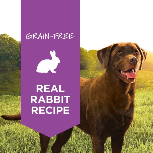 Instinct Original Grain-Free Real Rabbit Recipe Canned Dog Food - High Protein, Natural Ingredients for Puppies & Adult Dogs - Perfect for Sensitive Stomachs & Allergies