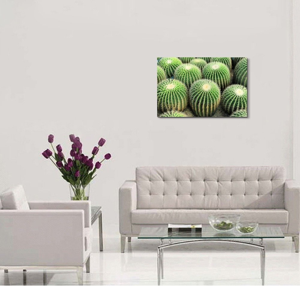 Modern Cactus Canvas Wall Art - Stretched Gallery Wrap & Wood Framed Print - 32x48 Inch Ready to Hang - Desert Home Decor for Living Room, Bedroom & Office