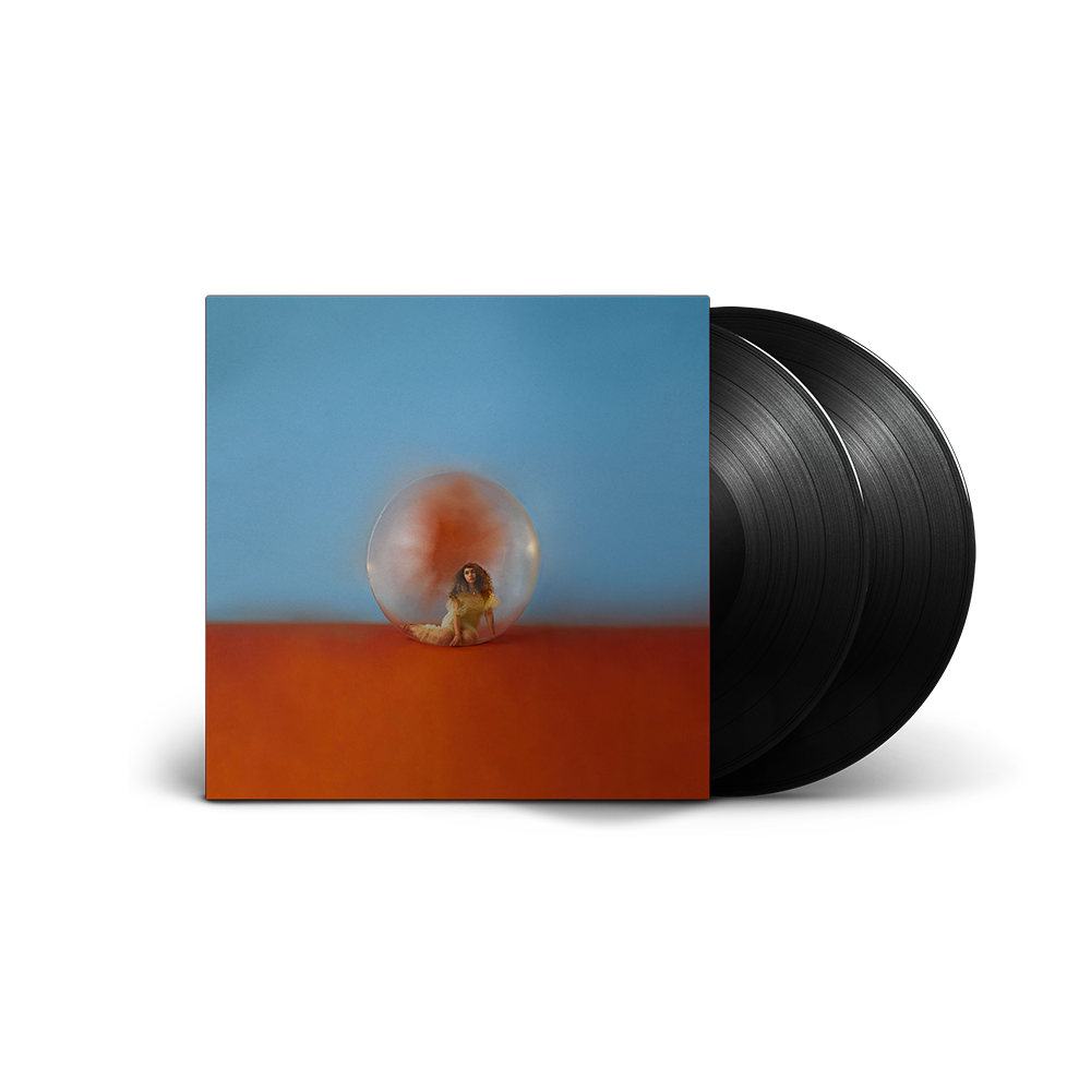 In The Meantime 2LP Vinyl Record - Limited Edition Music Album for Home Listening & Collector's Item