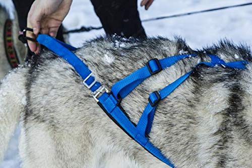 Neewa Adjustable Sled Pro Harness for Large Dogs - Pink Small Size | Heavy Duty Pulling Harness for Giant Breeds | Perfect for Dog Joring, Sledding & Outdoor Activities
