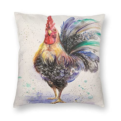 Chicken Rooster