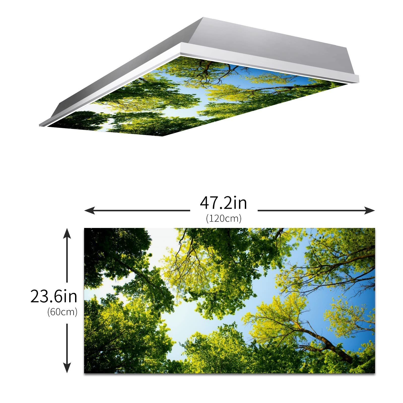 Tall Trees Fluorescent Lamp Shades for Home, Office & Classroom - Reduces Eye Strain & Headaches | Ceiling Light Cover for Indoor Spaces | Perfect for Workspaces, Study Areas & Commercial Lighting