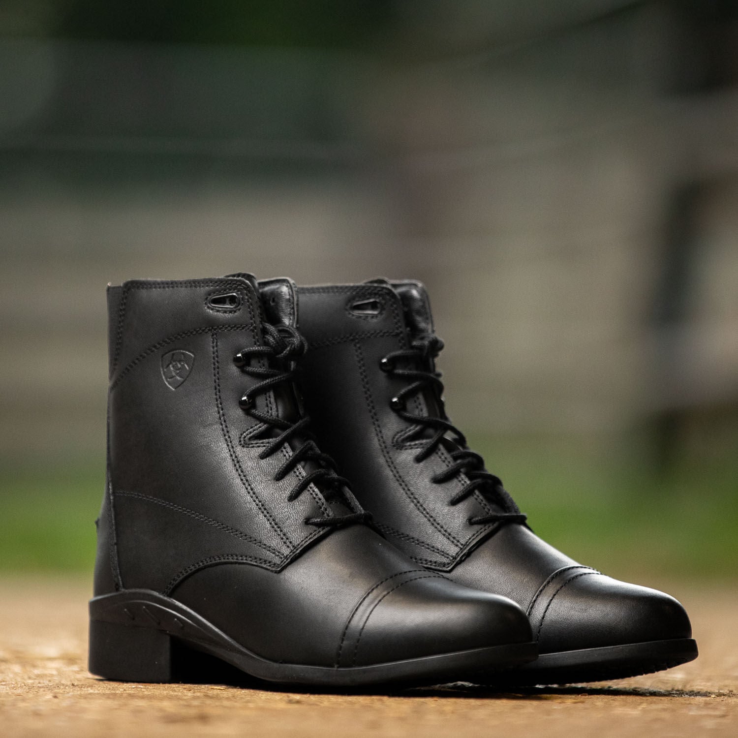Ariat Women's Scout Paddock Boot - Black Leather Equestrian Riding Boots for Horseback Riding & Stable Work