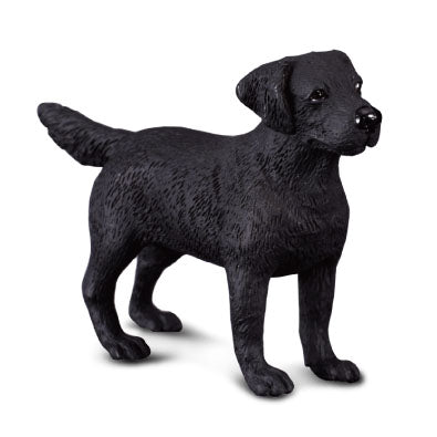 CollectA Labrador Retriever Dog Figurine - Realistic Hand-Painted Toy Dog Model for Kids & Collectors - Perfect for Playtime, Display & Educational Use