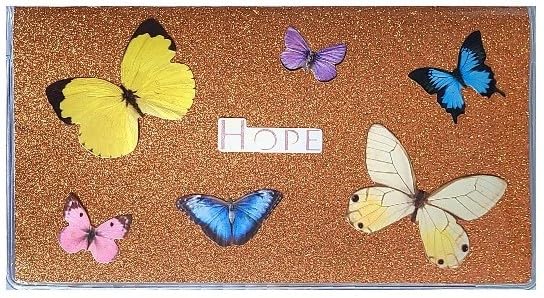 Hope Butterfly
