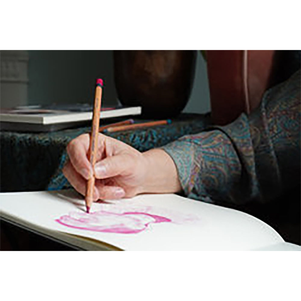 12-Pack Derwent Lightfast Oil-Based Colored Pencils for Professional Drawing & Coloring - Premium Artist-Grade Tin Set - Perfect for Sketching, Illustration & Mixed Media Art Projects
