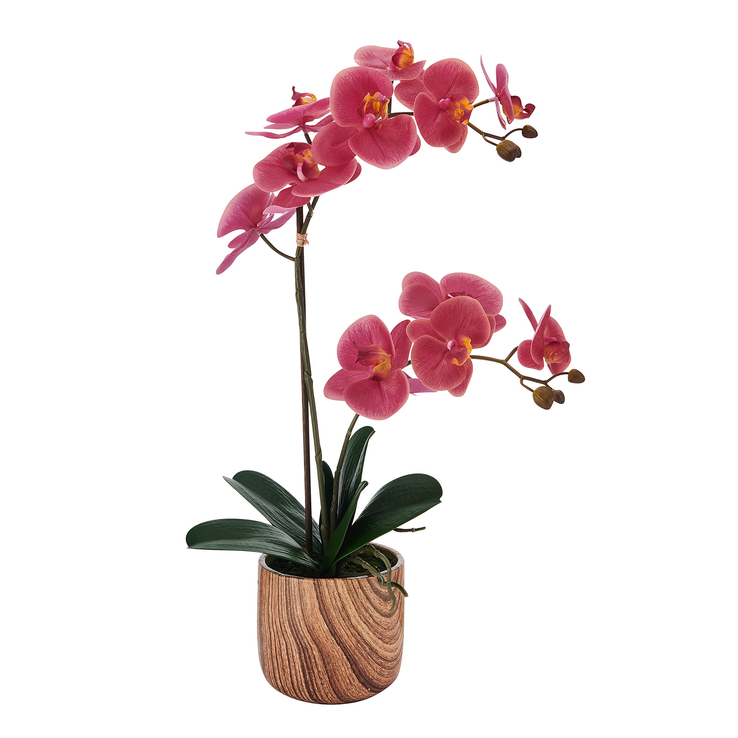 Mikasa Artificial Orchid in Pot - Real Touch Phalaenopsis Silk Flower with Faux Wood Cement Planter, 22-Inch Double Stem Rosewood Home Decor for Living Room, Office, Wedding Centerpiece