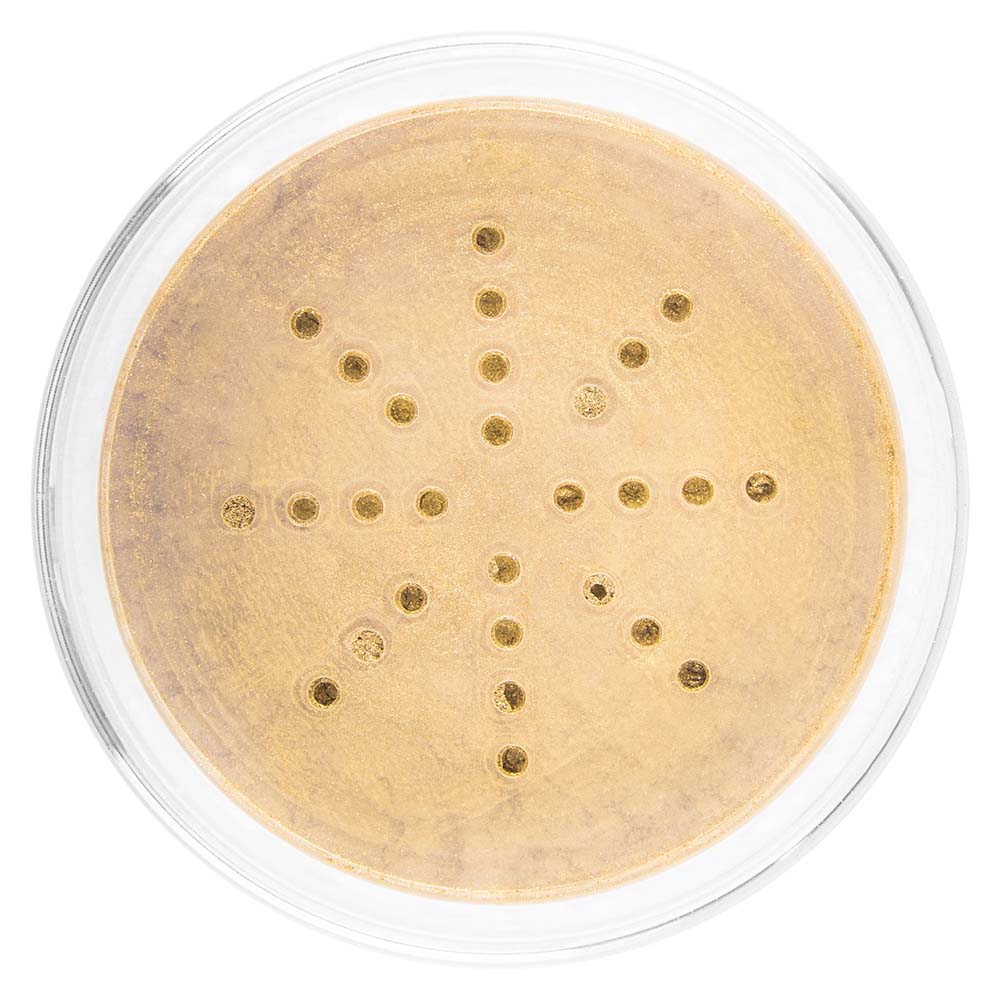 HD Translucent Finishing Powder - Paraben-Free & Oil-Control for Flawless Makeup | Perfect for Photography & Everyday Wear