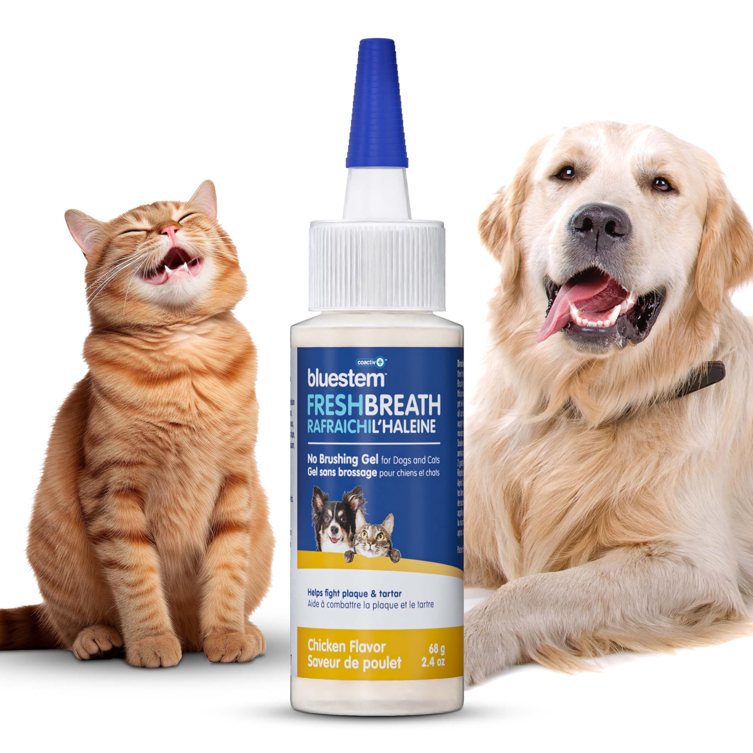 BluestemTM No Brush Dog Dental Gel - Fresh Breath Oral Care for Dogs, Fights Plaque & Tartar - Brushless Toothpaste for Easy Teeth Cleaning | Perfect for Daily Dental Hygiene & Anxious Pets
