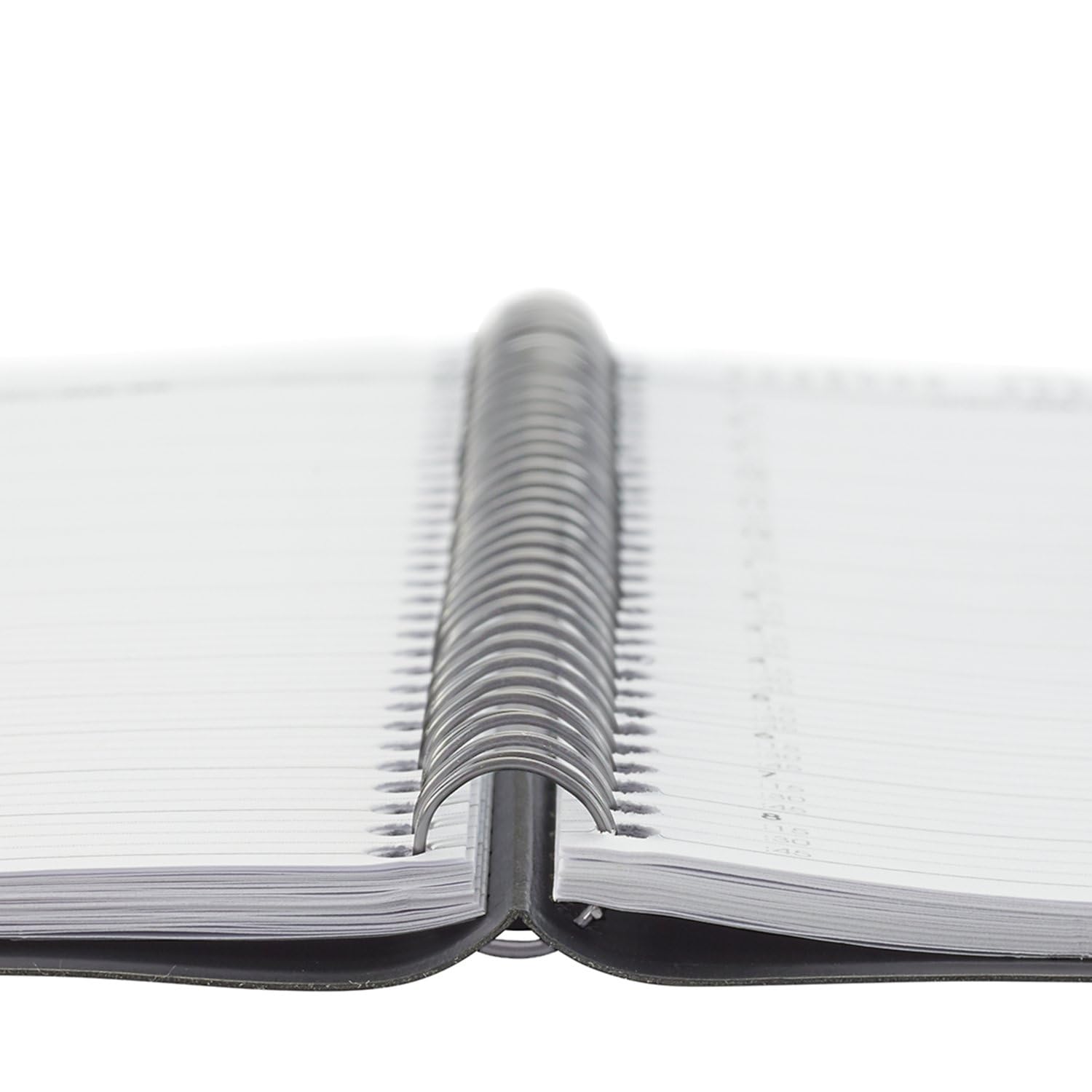 AT-A-GLANCE 2024-2025 Academic Planner - Weekly & Monthly Appointment Book, 8.5