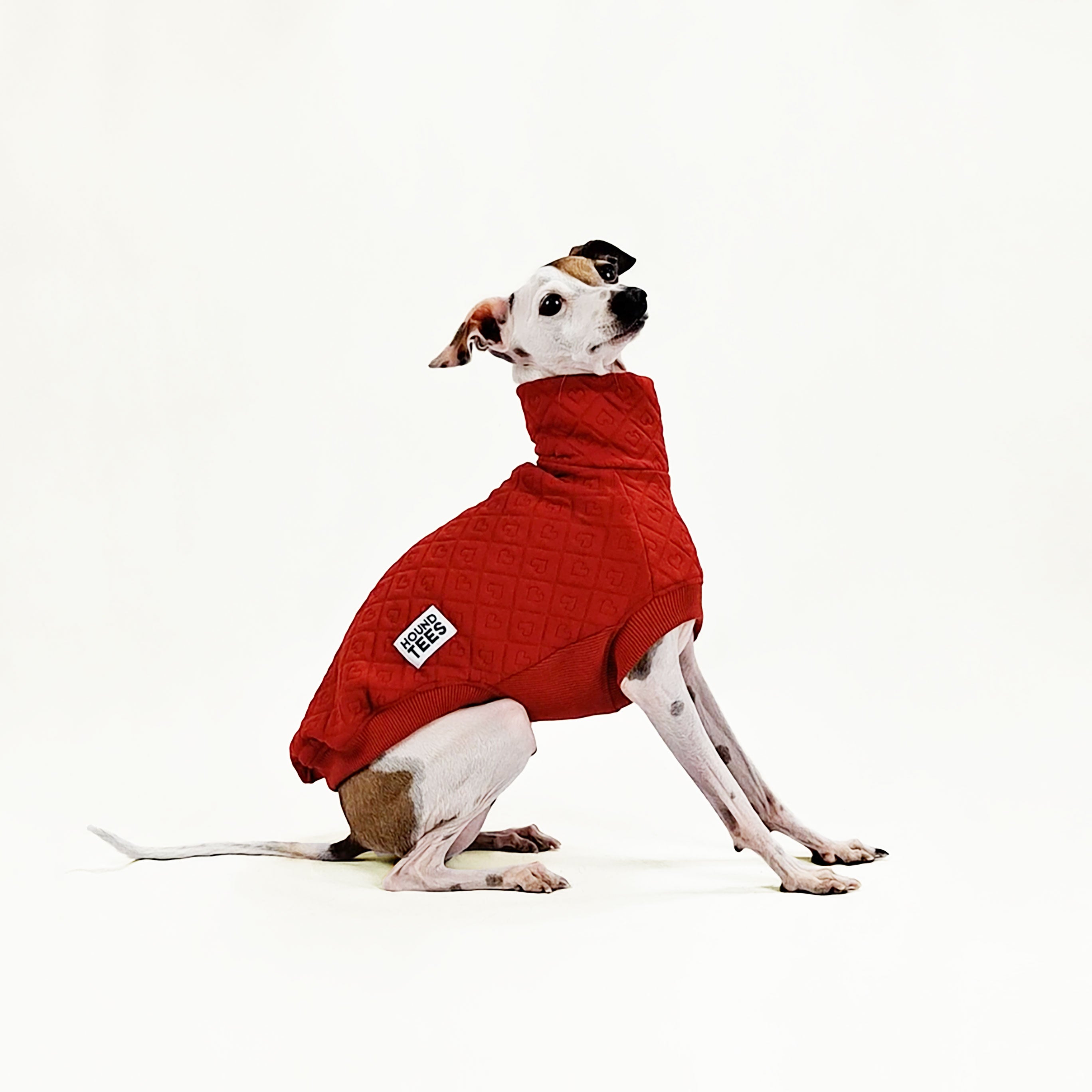 Italian Greyhound Quilted Sleeveless Sweater - Stylish Dog Vest for Small Breeds - Perfect for Winter Walks & Outdoor Adventures