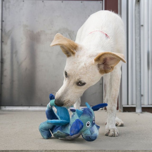 Kong Dragon Knots Dog Toy - Durable Chew Toy for Aggressive Chewers, Interactive Play & Dental Health - Perfect for Large & Medium Dogs, Indoor & Outdoor Use