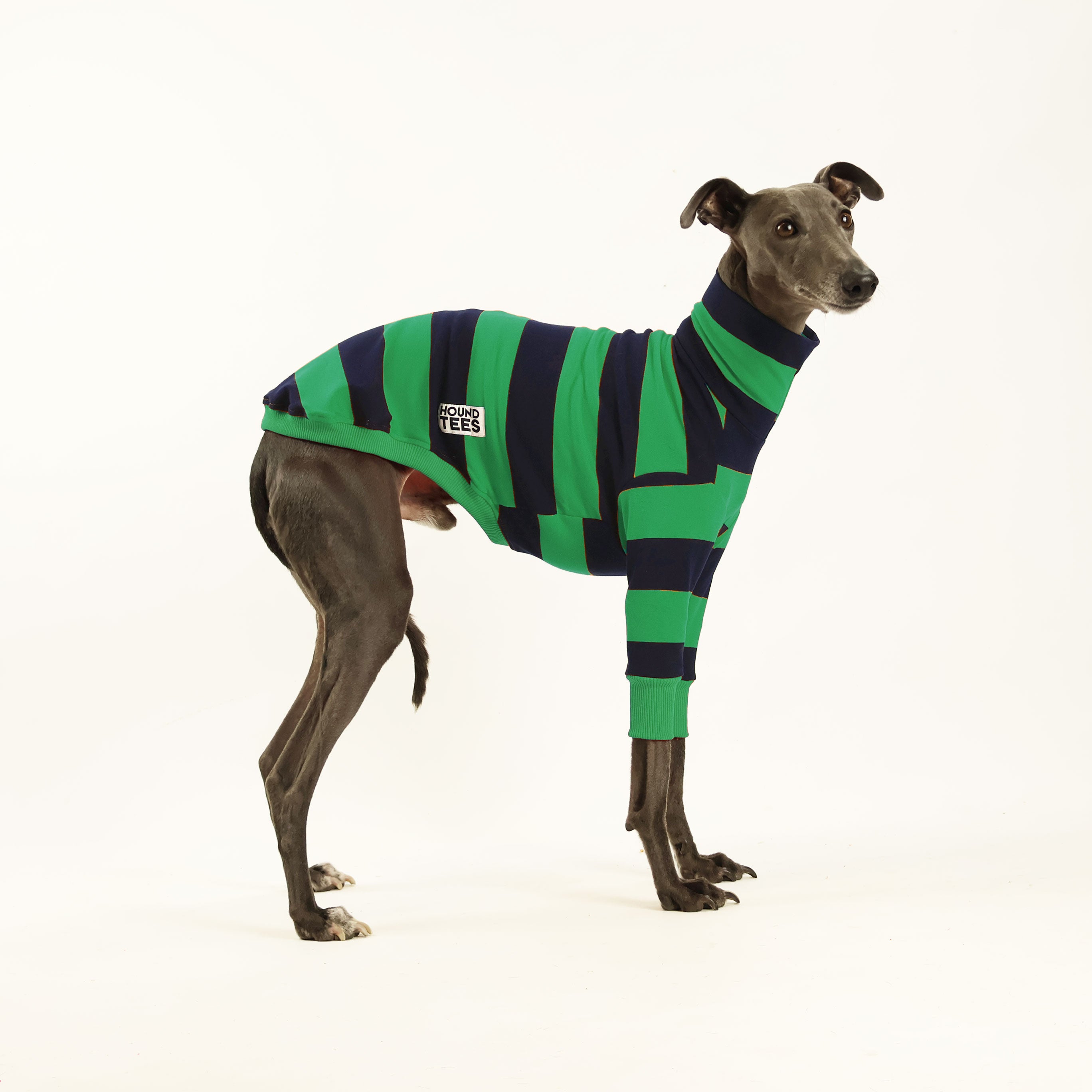 Premium Green Rugby Whippet Long Sleeve Sweater for Men - Warm & Stylish Pullover for Outdoor Sports, Casual Wear & Cold Weather