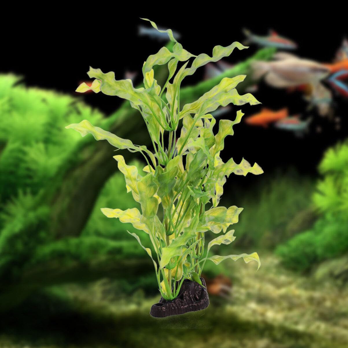 POPETPOP Artificial Aquarium Plants - Realistic Plastic Kelp & Aquatic Plants for Fish Tank Decorations, Perfect for Freshwater & Saltwater Aquariums, Terrariums, and Home Office Decor