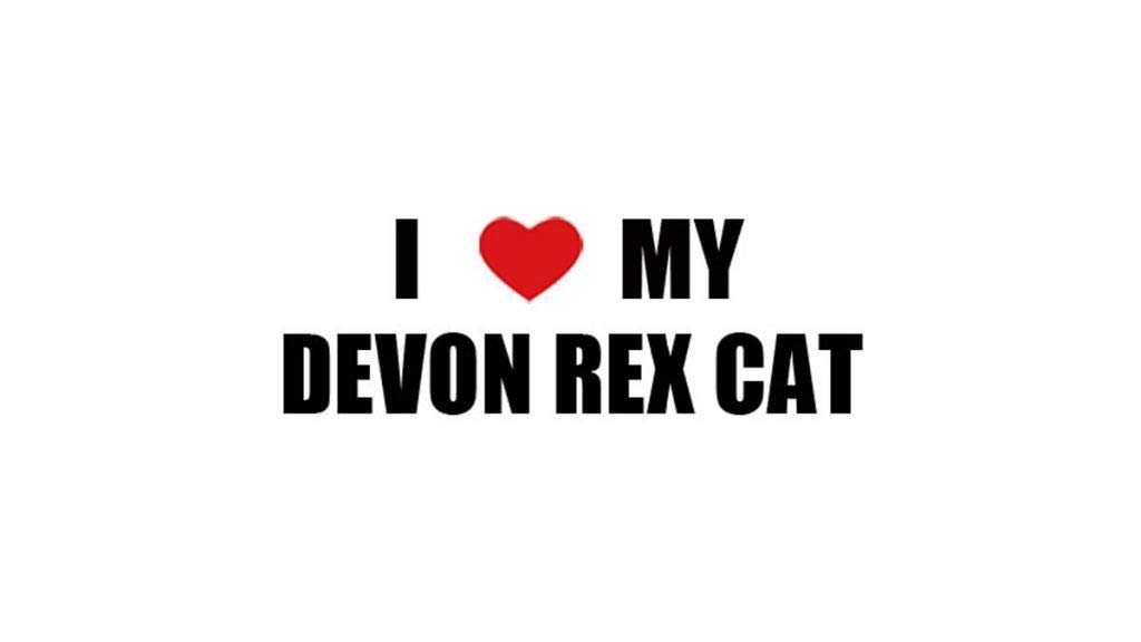 Devon Rex Cat Decal Sticker - Waterproof Vinyl for Car, Laptop, Wall - Perfect for Pet Lovers & Home Decor