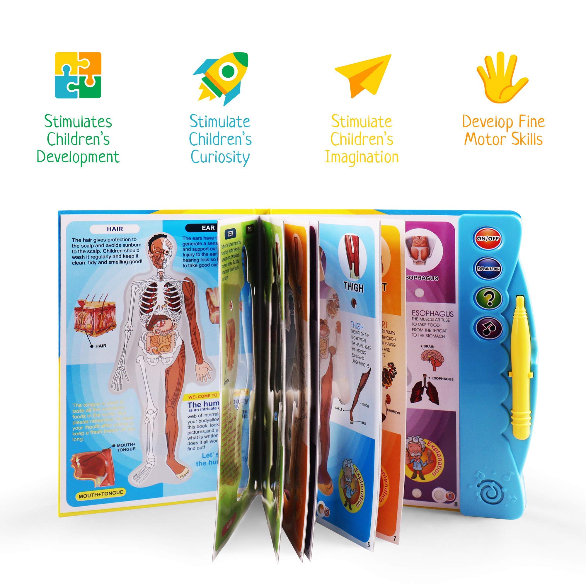 Boxiki Kids Human Body Book - Educational Science Activity Book for Ages 3+ | Perfect for Homeschool Learning & Preschool STEM Toys