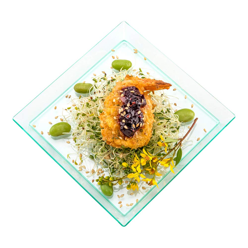 Modern Plastic Tasting Plate 5