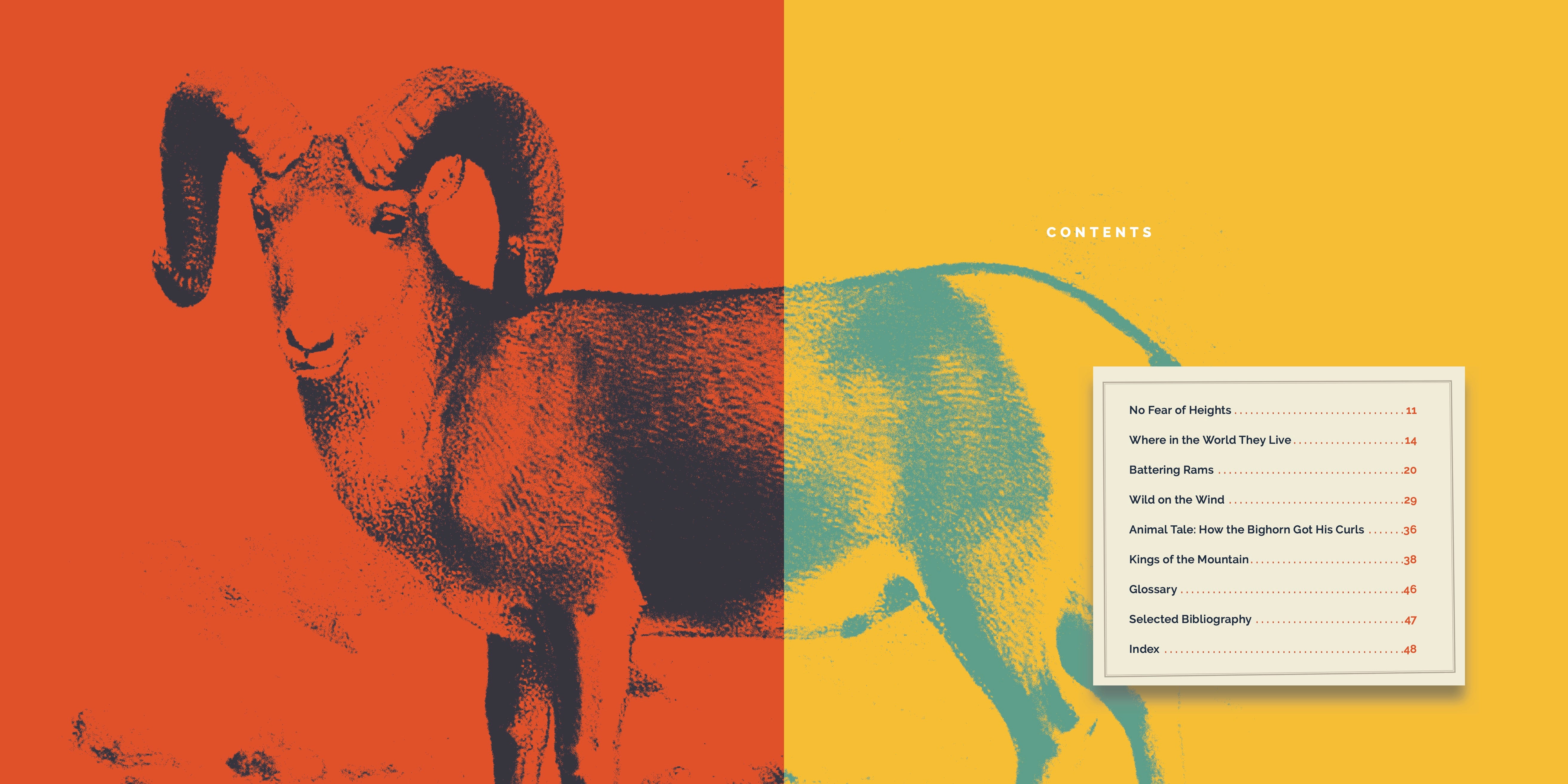 Big Horn Sheep Book 9781640267732 - Wildlife Education & Nature Exploration for Kids & Adults