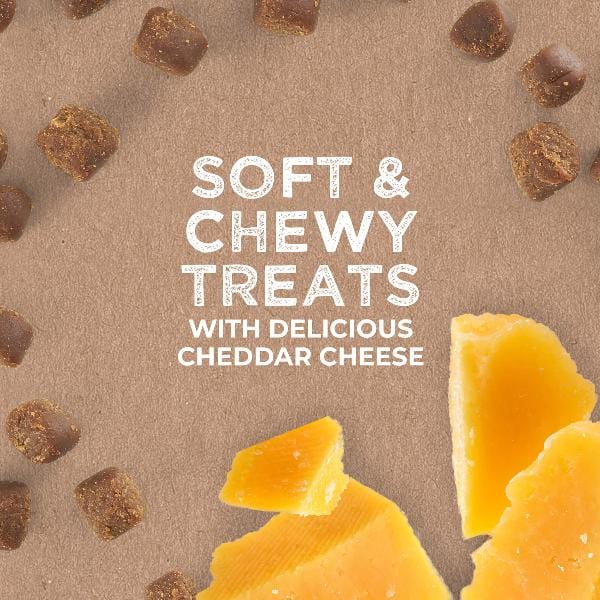 Cloud Star Tricky Trainers with Cheddar - Soft & Chewy Dog Treats for Training, Rewards & Dental Health | Perfect for Small, Medium & Large Dogs