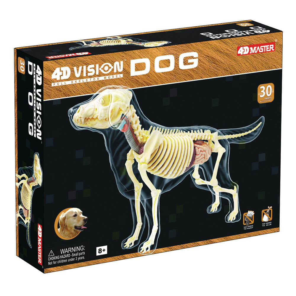 4D Master Vision Full Skeleton Dog Model - Educational Anatomy Kit for Veterinary Students & Animal Lovers - Perfect for Classroom Learning & Science Projects