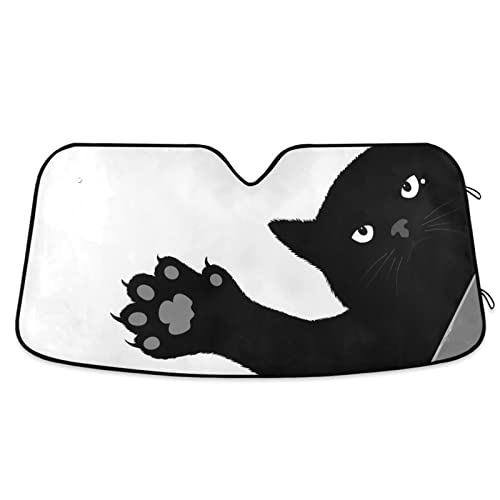 Cat Paw