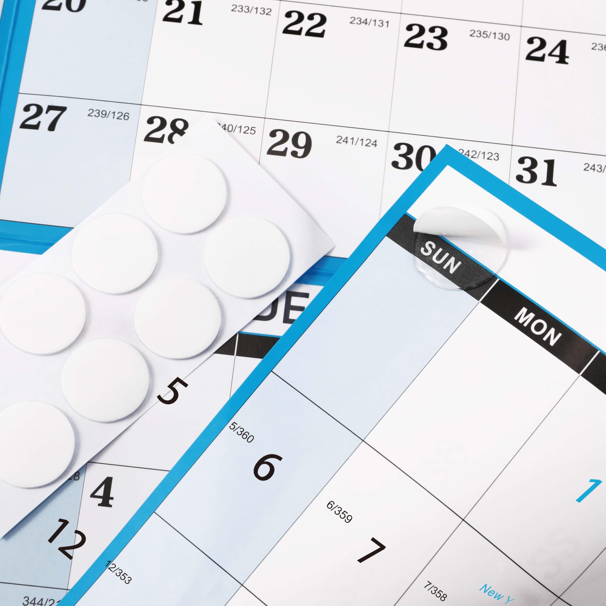 2025-2026 Dry Erase Wall Calendar - 23