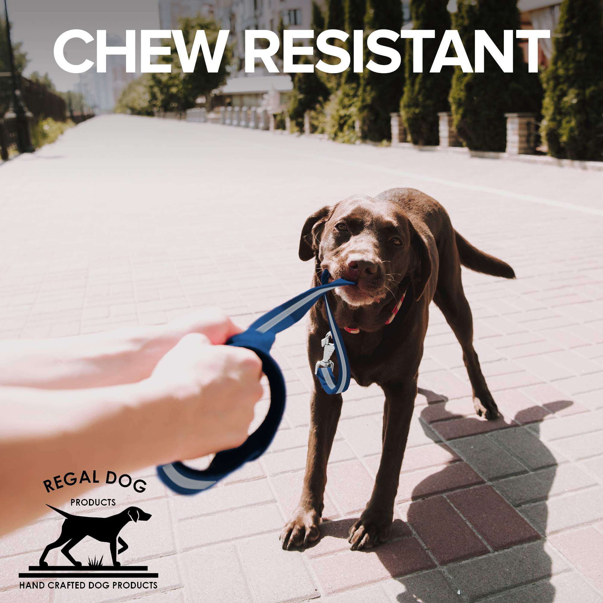 Reflective Dog Leash 5ft - Strong & Lightweight Pet Lead with Easy Collar Hook for Small, Medium, Large & XL Dogs - Blue - Perfect for Night Walks, Jogging & Outdoor Adventures