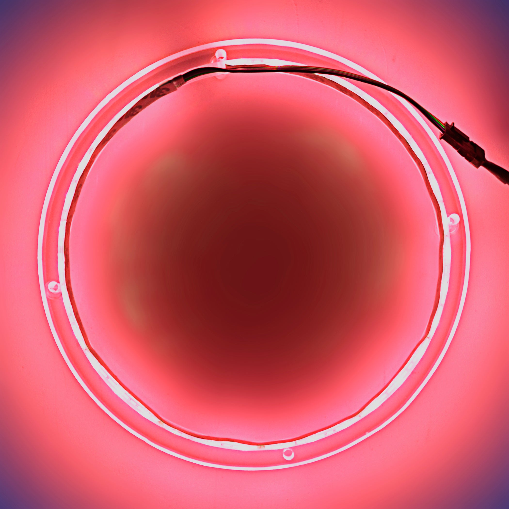 10 Pack RGB LED Speaker Rings - Colorful Lighting for DJ, Gaming & Home Audio (NL RIAPMP 10RGB) - Perfect for Parties, Concerts & PC Setups
