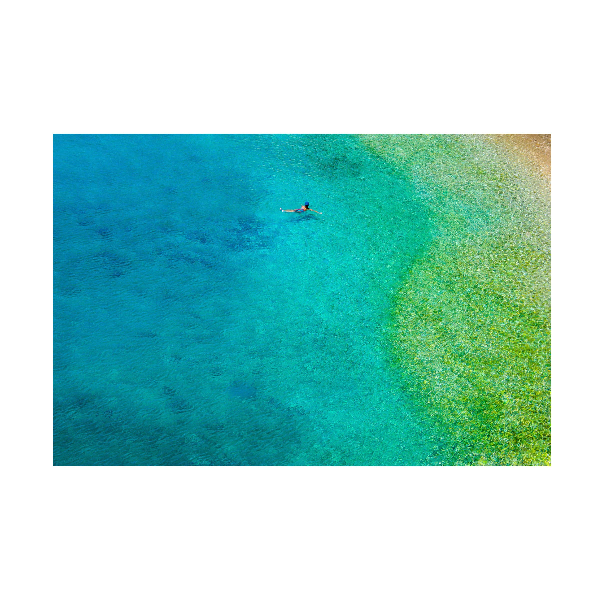 Trademark Fine Art Solo Swim by Verne Varona - 12x19 Inch Wall Art Print in Multiple Colors - Perfect for Living Room, Bedroom & Office Decor