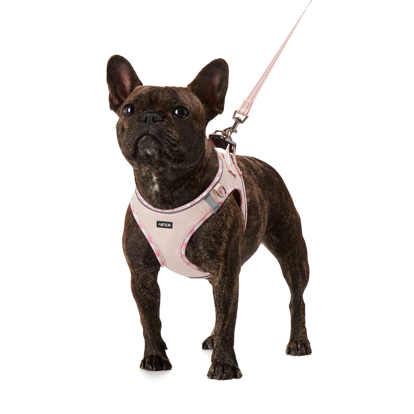 AMTOR No-Pull Adjustable Reflective Dog Harness with Leash Set - Padded Step-in Vest for Small, Medium & Large Dogs - Comfortable Pet Walking Gear for Training, Hiking & Outdoor Adventures (Pink)