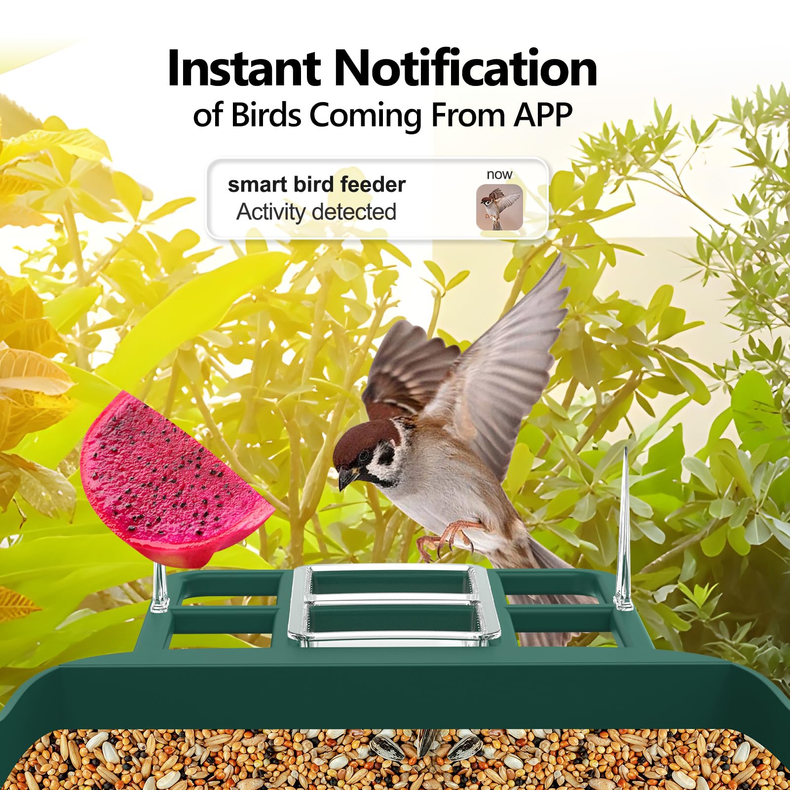 Smart Bird Feeder with Camera - AI Bird Identification, Solar Powered, 1080P HD Video Recording & Instant Alerts | Perfect Backyard Birdwatching Gift for Nature Lovers & Families (Ideal for Garden, Patio, or Balcony)
